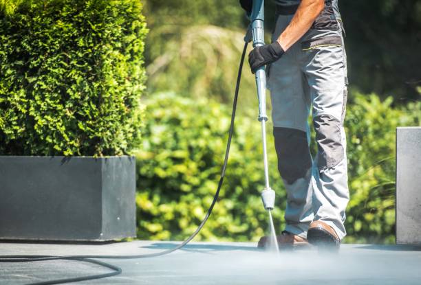 Best Dumpster Area Cleaning  in Sayville, NY