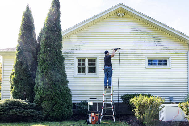 Best Gutter Cleaning  in Sayville, NY